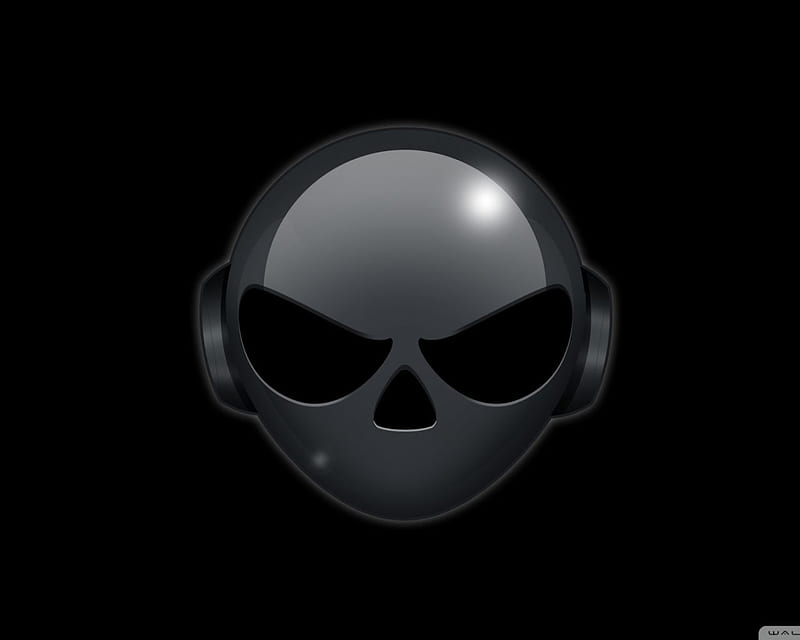 Skull Heads [] for your , Mobile & Tablet. Explore Skull Head . Awesome Skull , Harley Davidson Skills, Girl Skull, HD wallpaper