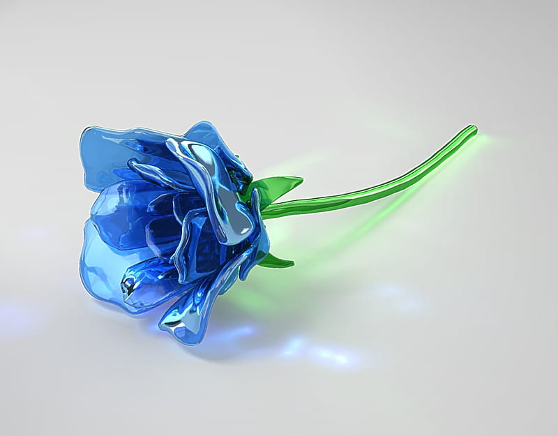 flower, glass, blue, fragile, HD wallpaper