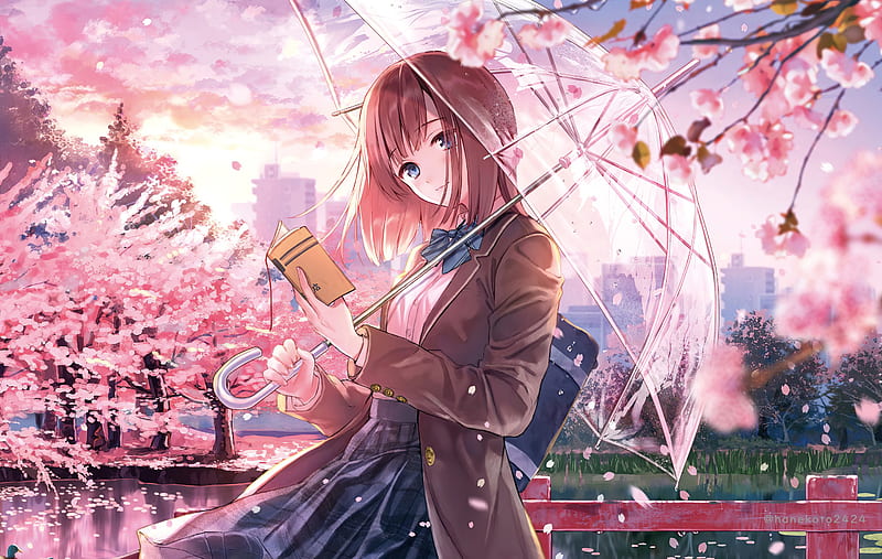 Anime Girl Cherry Blossom Season, anime-girl, anime, artist, artwork,  digital-art, HD wallpaper | Peakpx