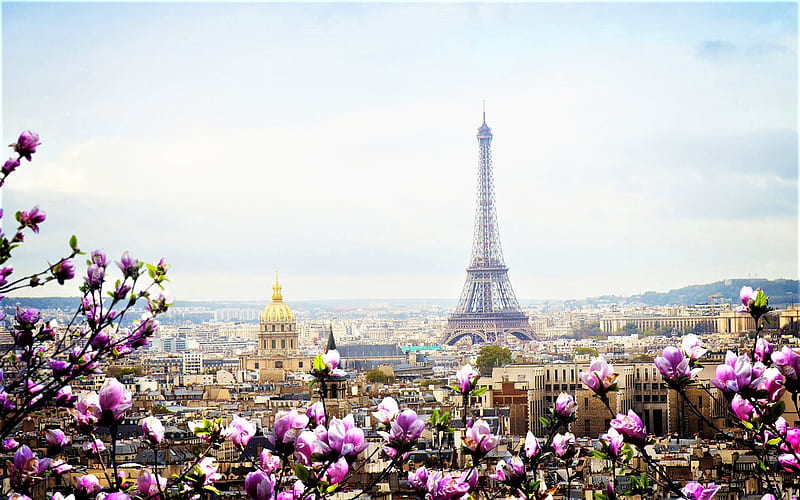 Paris in spring, paris, flowers, city, eiffel tower, HD wallpaper