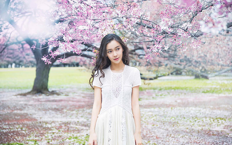 Angelababy, sakura, beauty, brunette, chinese models, Angela Yeung Wing, HD wallpaper