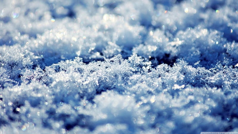 Snow, crystals, frosted, abstract, winter, cold, frosty, graphy, macro, nature, snow crystals, frozen, frost, HD wallpaper