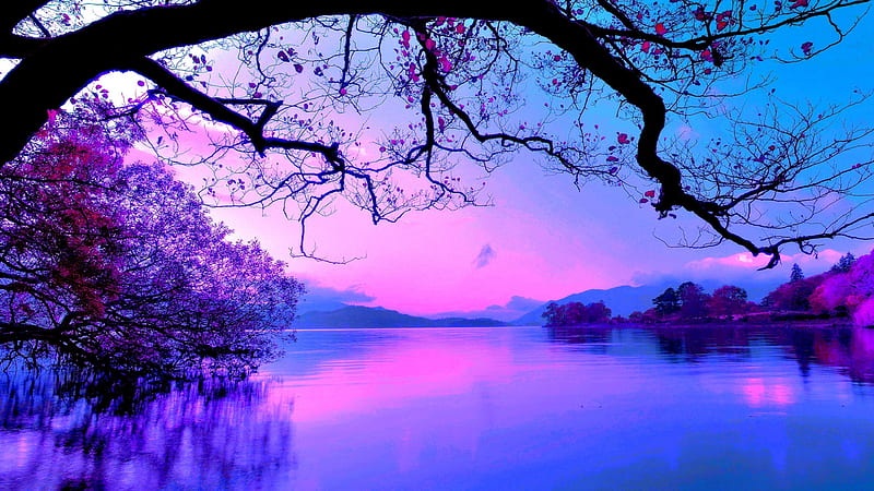 Beautiful Purple Sky And Trees With Reflection On Body Of Water Nature, HD wallpaper