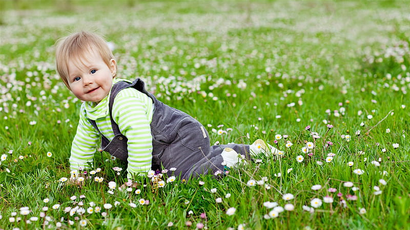 Cute Baby Is Crawling On Grass Cute, HD wallpaper