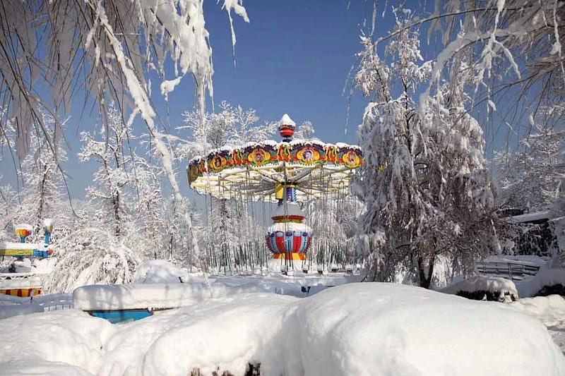 Frozen Funfair, ice, caroussell, trees, snow, HD wallpaper