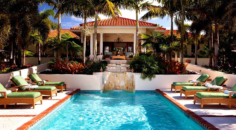 House, palm, deck chairs, pool, hose, HD wallpaper