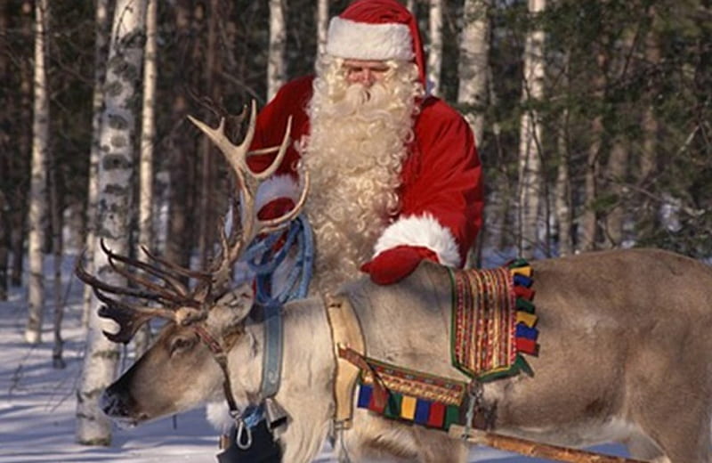 Santa Claus in preparation, good old man, sled holiday, reindeer, magician, joy, gifts, HD wallpaper
