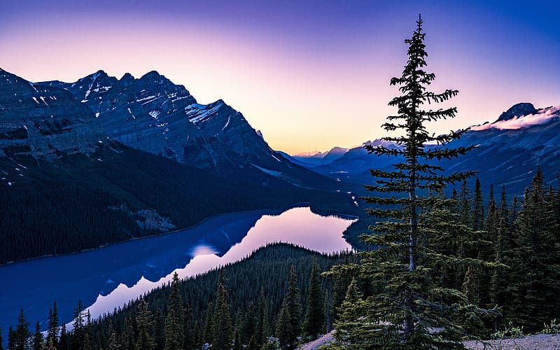 Summer Peyto Lake Banff Park Sunset Alberta Canada, HD wallpaper