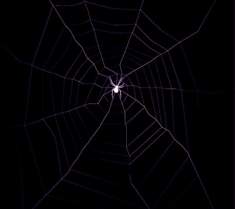 HD white spider web wallpapers | Peakpx