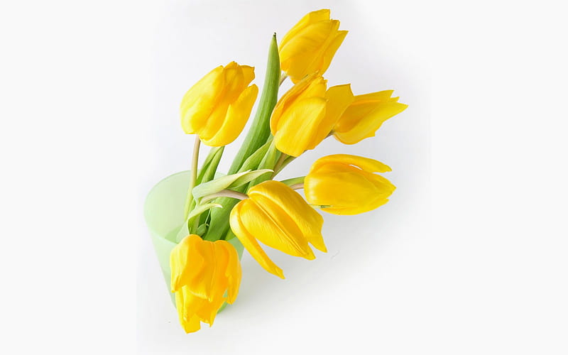 7even bright tulips, special, centerpiece, yellow, sunny, silk, bouquet, bright, siempre, flowers, arrangement, nature, seven, tulips, sunshine, light, HD wallpaper