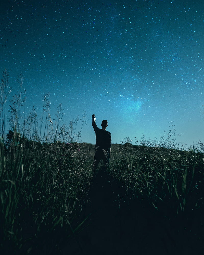 starry sky, silhouette, night, grass, field, HD phone wallpaper
