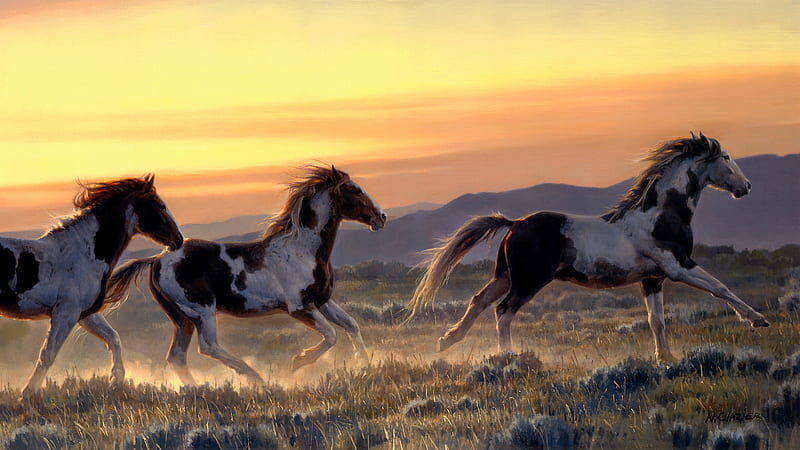 Running Horses On Field With Background Of Yellow And Brown Sky Animals, HD wallpaper