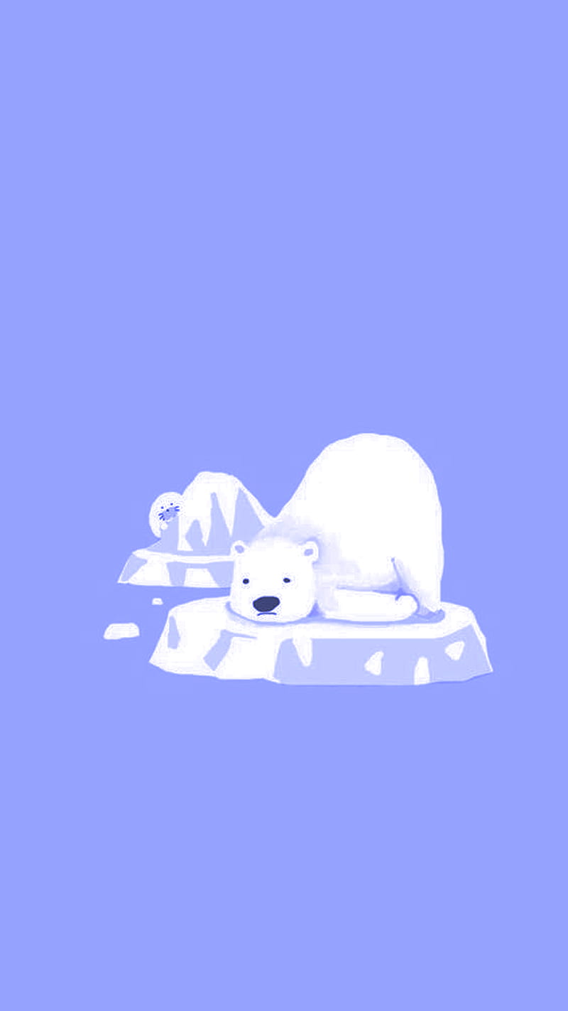 Bear, blue, cute, funny, polar, snow, white, HD phone wallpaper | Peakpx
