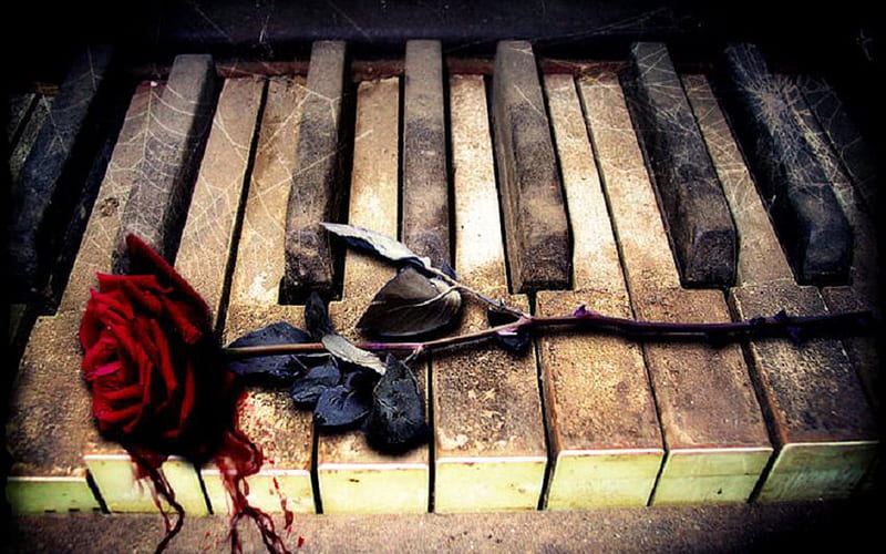 Piano And Bloody Rose 27502 Subliminal Music Group, HD wallpaper