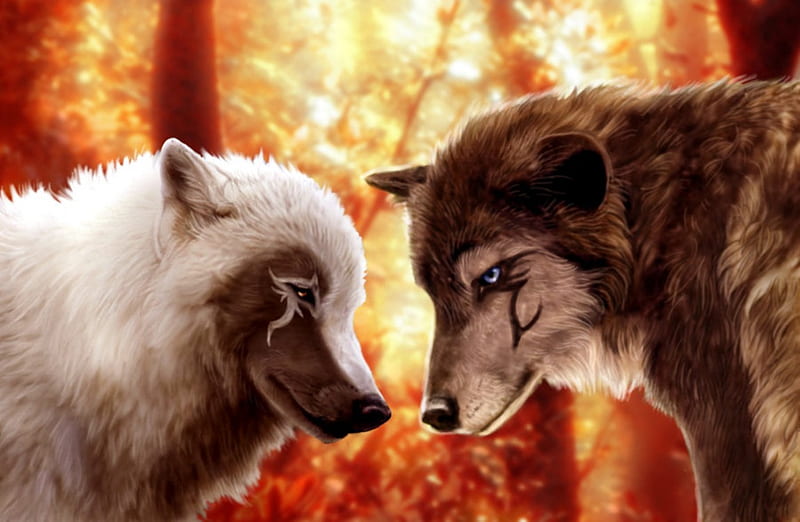 Forgiveness, art, brown, abstract, animal, fantasy, work, wolf, wolves, white, animals, HD wallpaper
