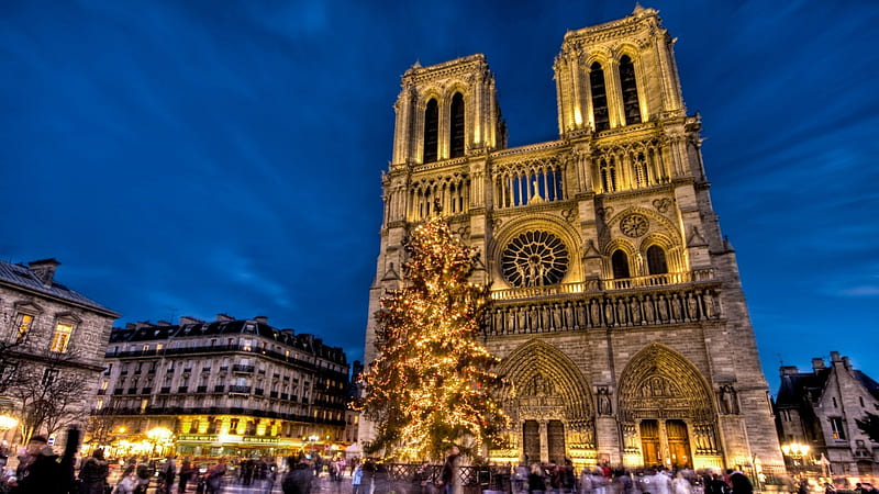 notre dame cathedral in paris at christmas r, cathedral, tree, crowd, city, christmas, r, lights, night, HD wallpaper
