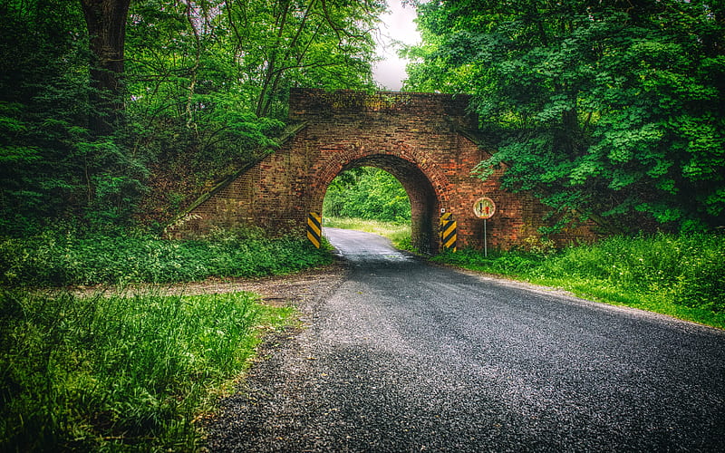 Poland road, forest, bridge, Europe, HD wallpaper