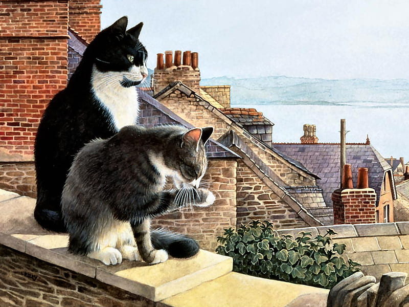 Chesterton and Twiglet - Cats F, art, bonito, pets, illustration, artwork, animal, feline, painting, wide screen, cats, HD wallpaper