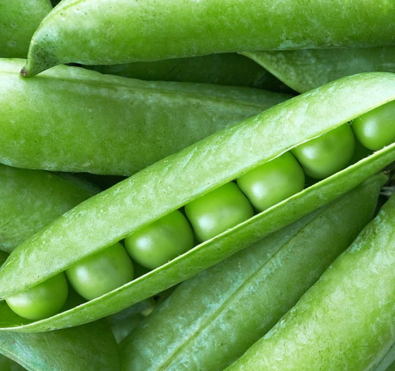 Peas, vegetable, food, green, HD wallpaper
