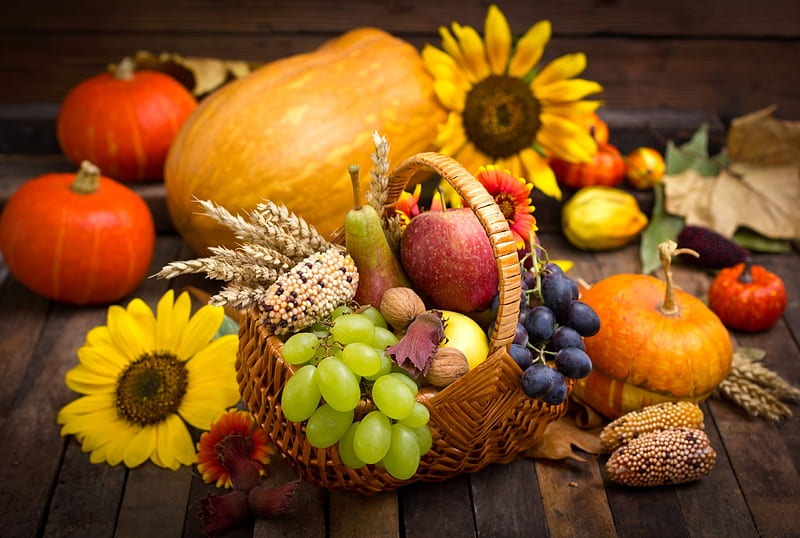 Autumn Harvest, Fall, wheat, grapes, still life, fruit, leaves, sunflowers, flowers, wood, corn, walnuts, pear, apples, gourds, nuts, basket, Autumn, pumpkins, HD wallpaper