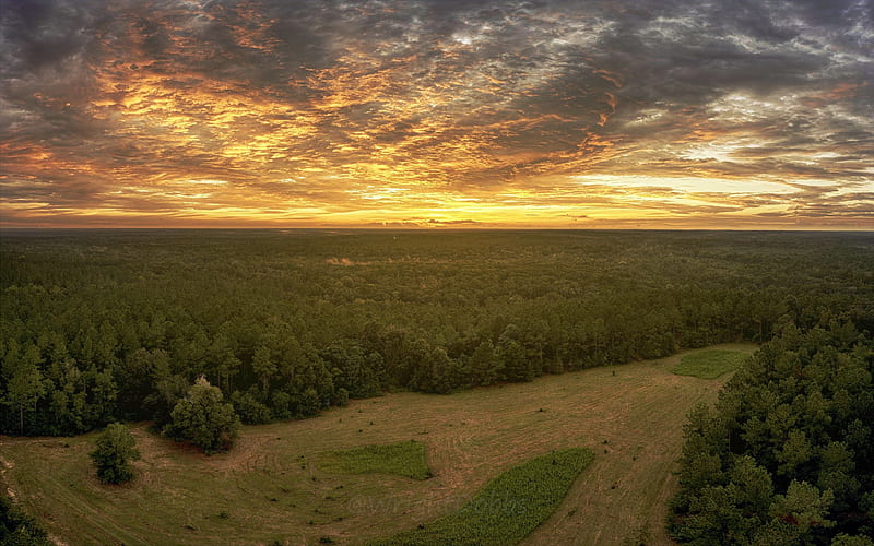 Sunset from the Florida Big Bend near Tallahassee, forest, colors, trees, landscape, clouds, sky, usa, HD wallpaper