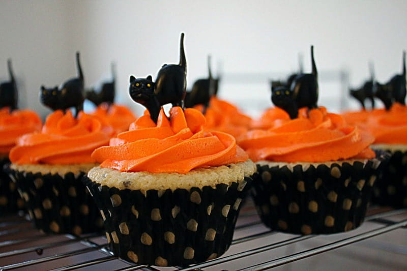 Halloween cupcakes, orange, food, halloween, ginger, black, cat, animal, sweet, dessert, cupcakes, cream, HD wallpaper