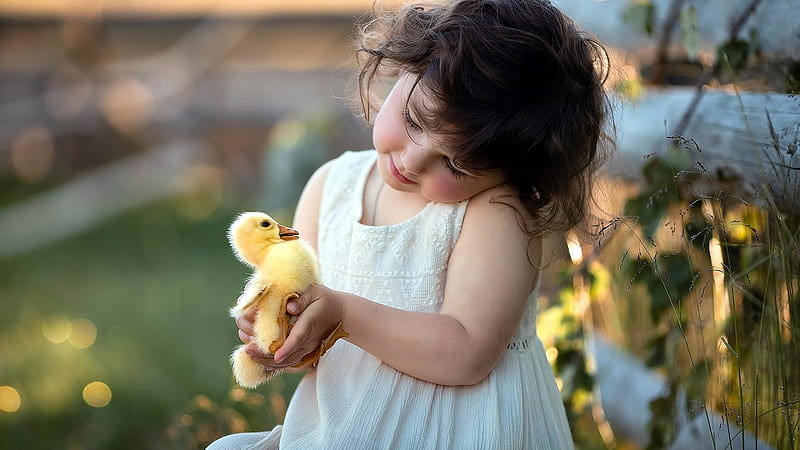 Cute Little Girl Is Holding Small Yellow Hen With Hands Wearing White Dress Cute, HD wallpaper