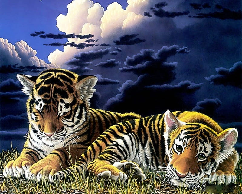 2 Brother Tigers, fantasy, tigers, nature, big cats, galaxy, HD wallpaper
