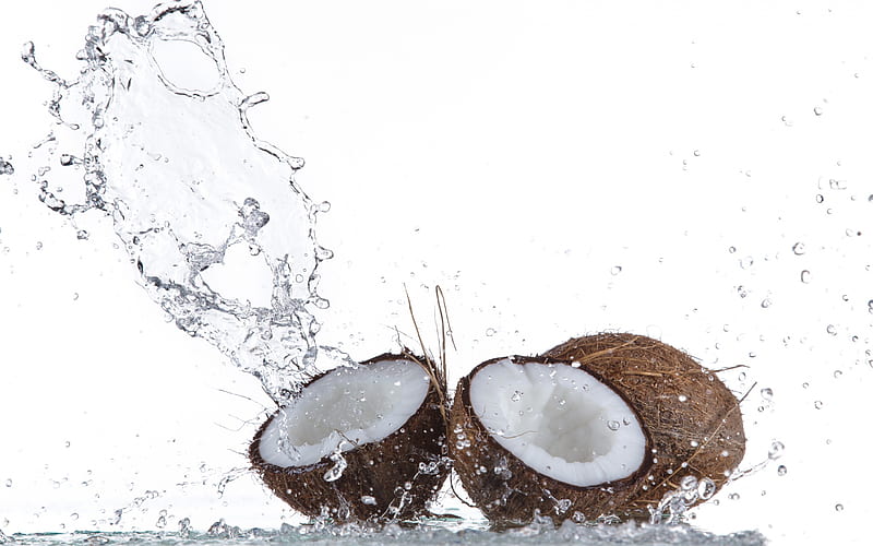 coconuts, splashes of water, fruit, water, HD wallpaper