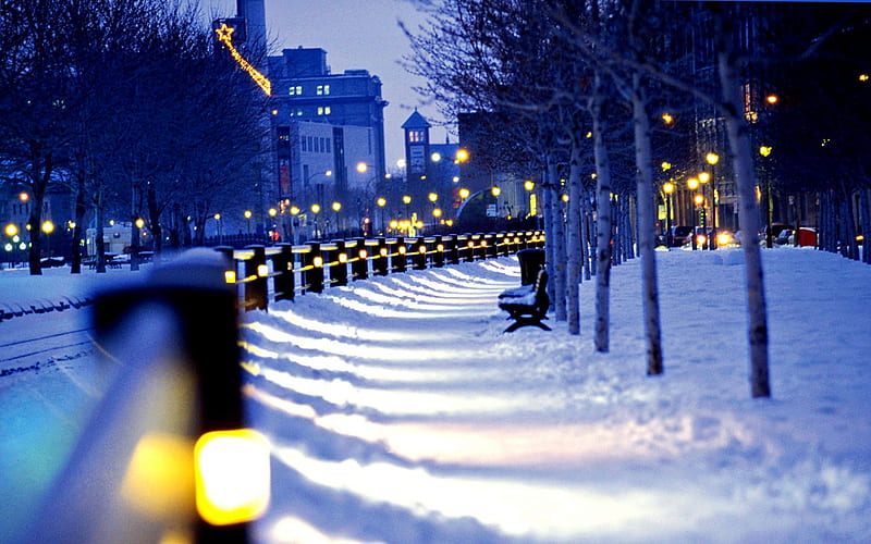 Winter Evening, architecture, snowy, lights, splendor, beauty, evening, reflection, lovely, lanterns, romance, christmas, city lights, buildings, trees, winter, building, merry christmas, snow, alley, canada, lantern, montreal, bonito, christmas lights, city, road, blue, romantic, view, bench, winter time, avenue, tree, benches, peaceful, nature, walk, HD wallpaper