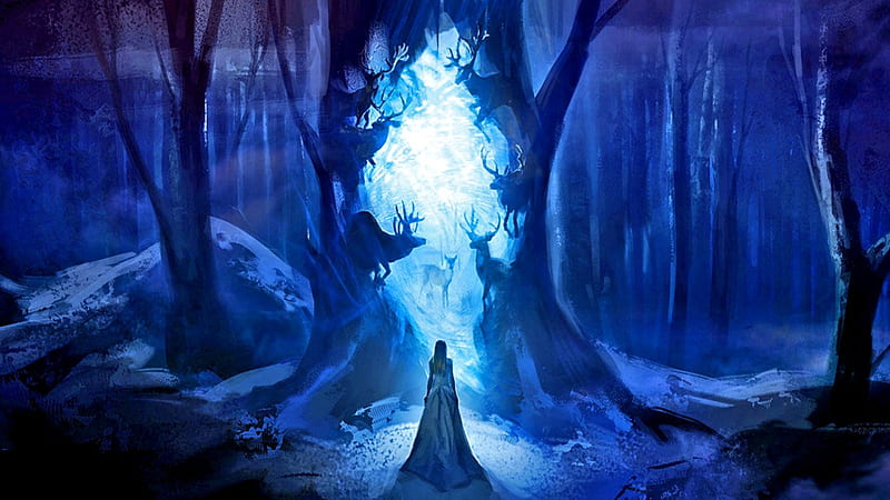 The Portal, forest, fantasy, hart, dark, nature, magic, women, HD wallpaper