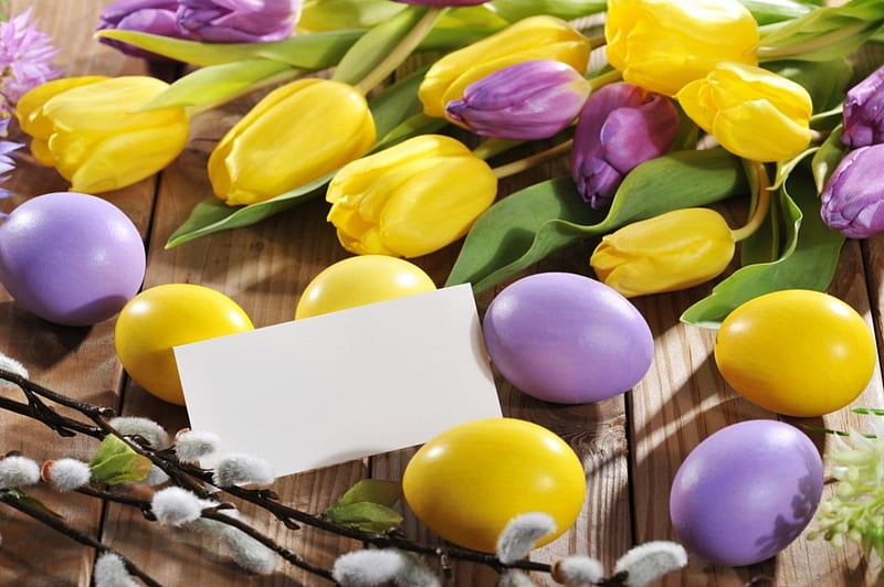 Happy easter!, purple, eggs, flowers, tulips, easter, HD wallpaper | Peakpx