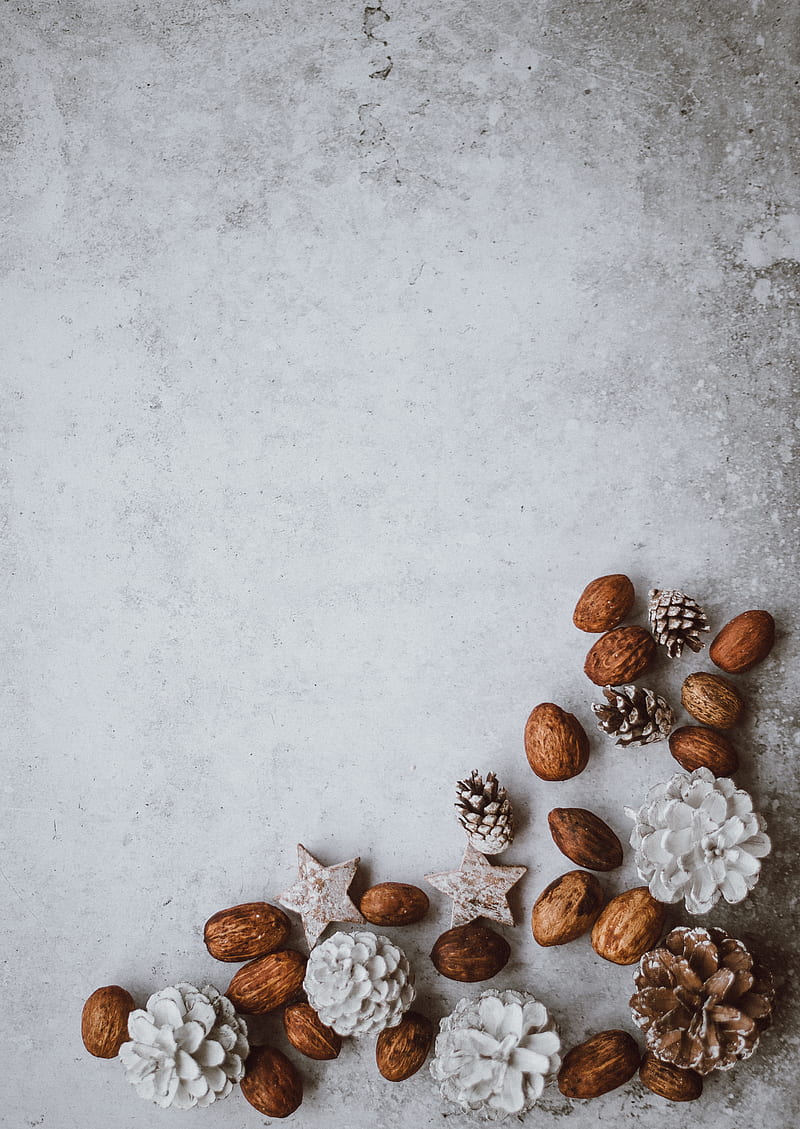 brown nuts and pinecone lot, HD phone wallpaper