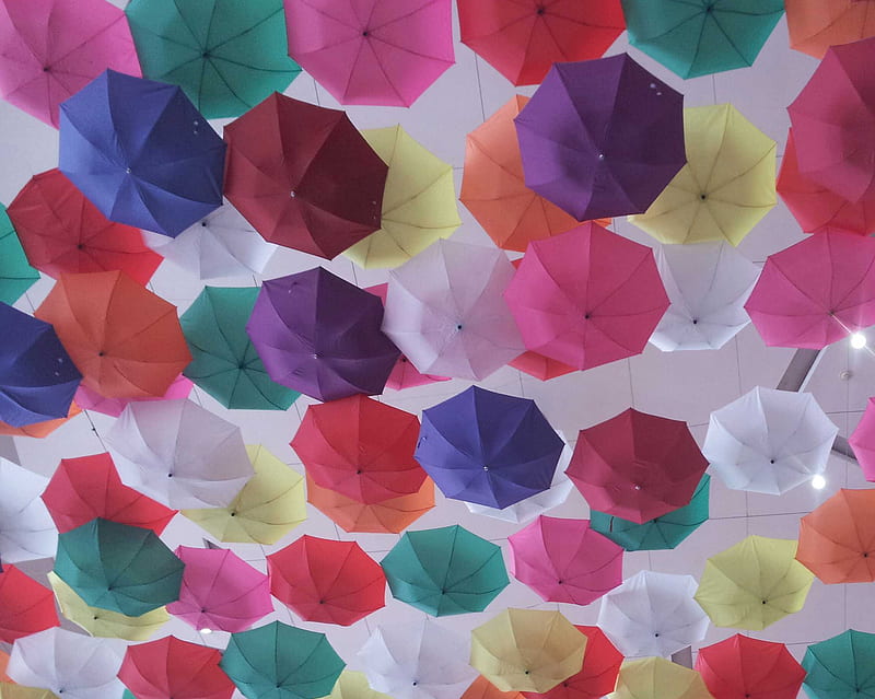your umbrella, choose it and feel it, its right choice, HD wallpaper