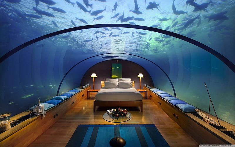 underwater bedroom-Architecture Decoration landscape, HD wallpaper