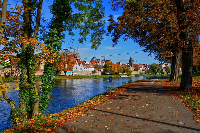 Autumn at Neu-Ulm, Germany, trees, houses, danube, leaves, riverside, river, HD wallpaper