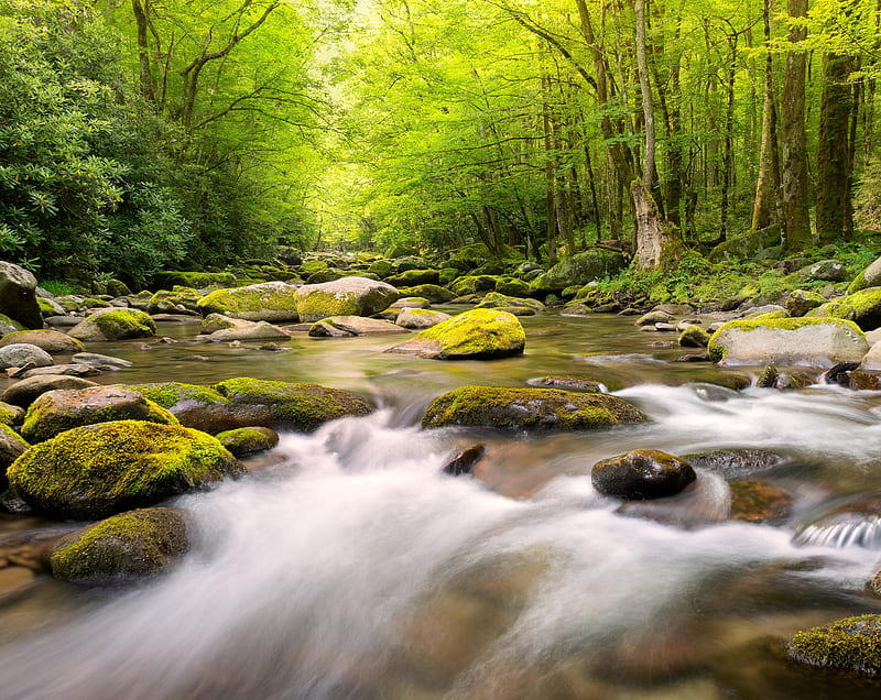 Mountain Stream Ultra, Nature, Rivers, Trees, Forest, Mountains, Rocks, Tennessee, north carolina, HD wallpaper