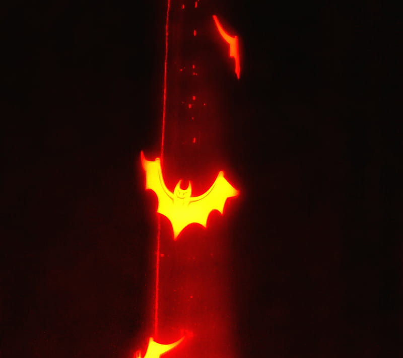 Red Bat, night, HD wallpaper