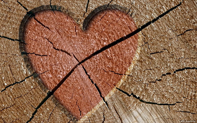 WOODEN HEART, love, logs, valentine, corazones, wood, HD wallpaper