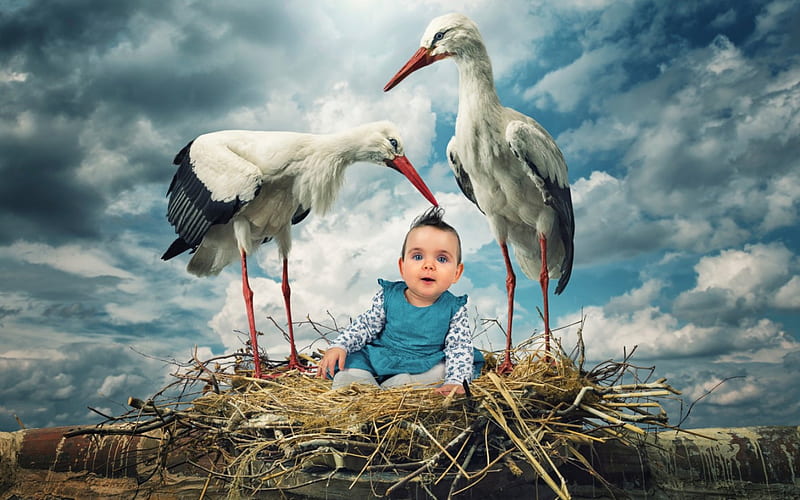 A fantasy or... not?, spring, creative, baby, situation, cute, boy, fantasy, nest, bird, stork, child, couple, blue, HD wallpaper