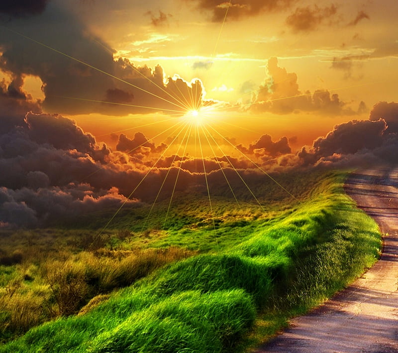 Heaven path, heaven, nature, path, sunrise, HD wallpaper