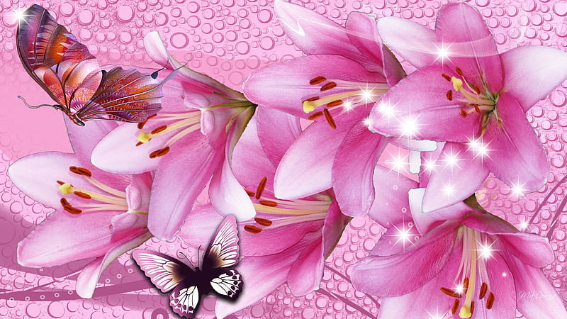 Power of Pink, stars, lilies, firefox persona, butterflies, water drops, bright, flowers, lily, pink, HD wallpaper