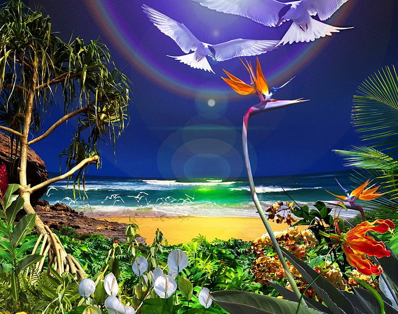 Heaven, pretty, shore, bonito, rainbow, clouds, sea, beach, nice, painting, bright, reflection, tropics, art, exotic, lovely, clear, ocean, birds, emerald, waves, sky, Hawaiian, trees, water, paradise, rays, plants, island, nature, tropical, sands, HD wallpaper