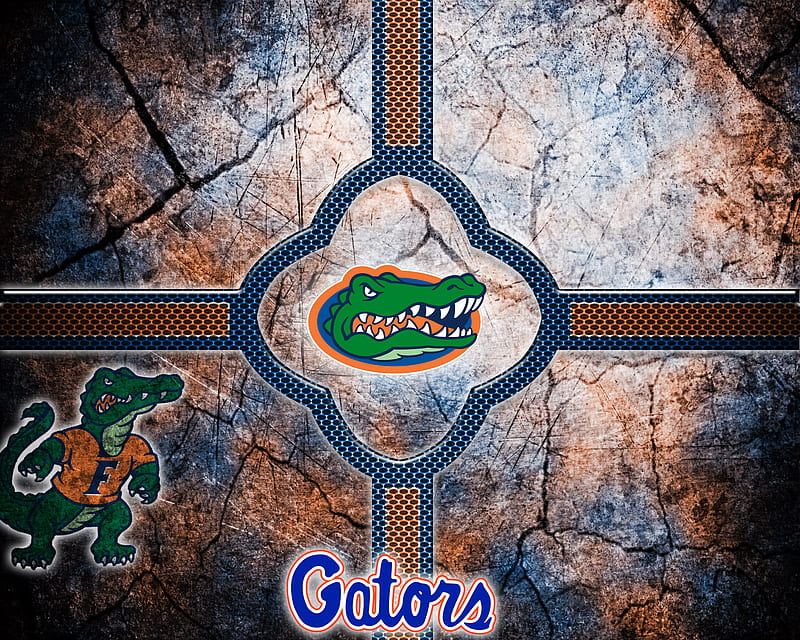 Florida Gators Tab, basketball, college, football, ncaa, HD wallpaper