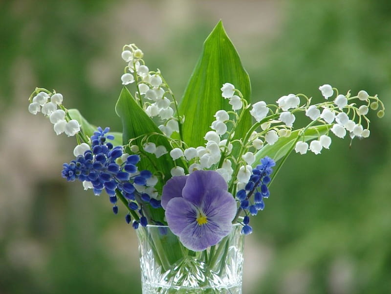 Lily of the valley, Violet, Flowers, Vase, Hyacinth, HD wallpaper