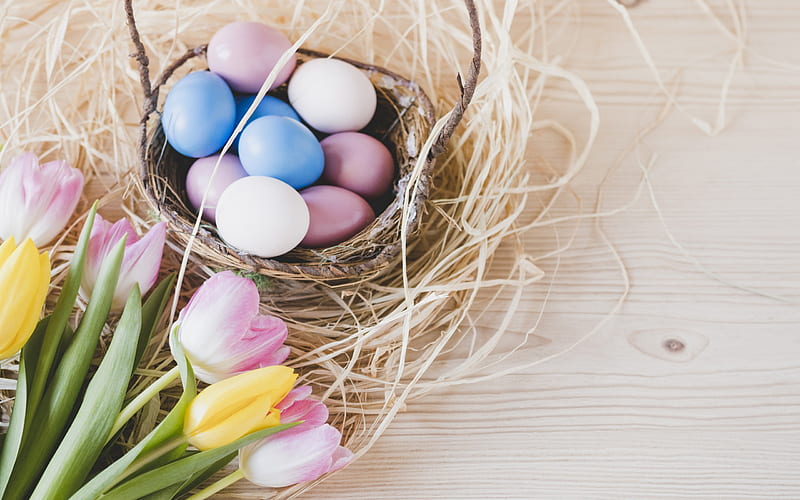 Easter, April 1, Easter decorated eggs, nest, pink tulips, spring, HD wallpaper