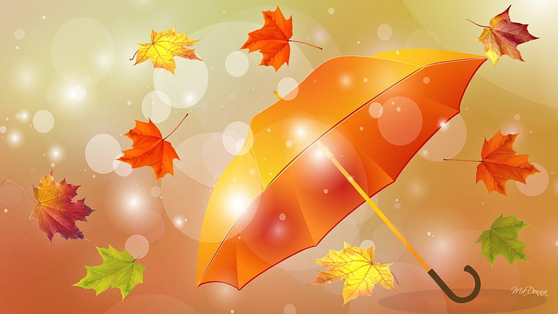 Mùa thu là thời điểm hoàn hảo để thưởng ngoạn cảnh sắc màu rực rỡ của tự nhiên. Bức ảnh này sẽ khiến bạn cảm thấy ấm áp và hạnh phúc khi ngắm nhìn những chiếc lá đỏ rụng rơi, ánh nắng mặt trời ấm áp, cây phong cao và đầy năng lượng.