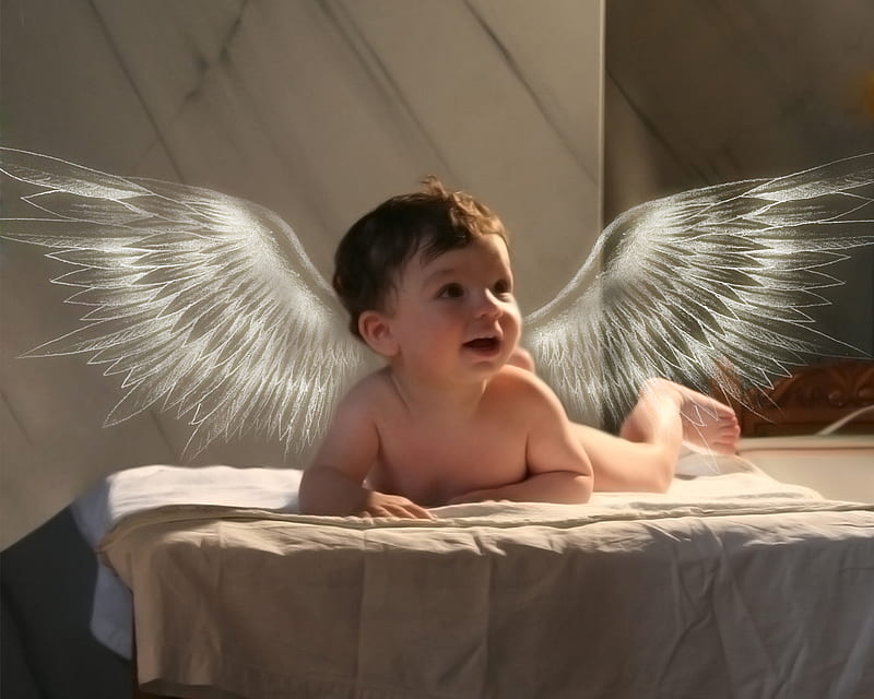 Angelito bebé, pequeño, alas, bebé, ángel, Fondo de pantalla HD | Peakpx