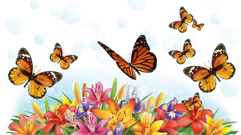 Butterflies & Lilies, lilies, firefox theme, spring, butterflies, floral, bokeh, bright, garden, summer, flowers, HD wallpaper