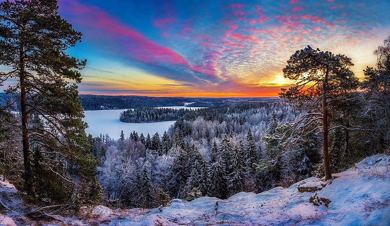 Vibrant sunrise at Aulanko Nature reserve, trees, sky, winter, north, forest, view, cold, panorama, reserve, sunsise, Finland, vibrant, scenery, HD wallpaper